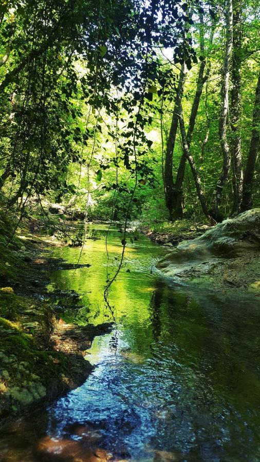 Hunting Residence Asteya Gramatikovo Εξωτερικό φωτογραφία