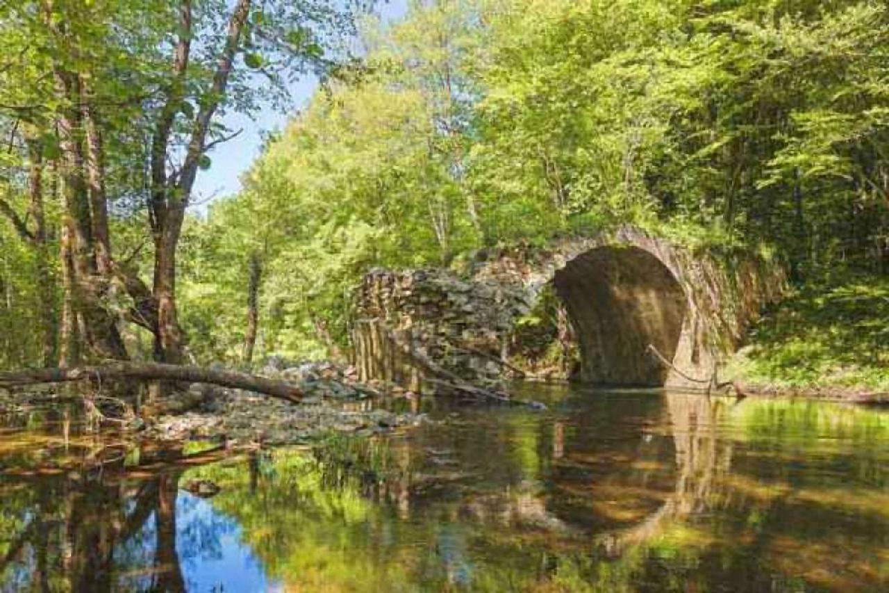 Hunting Residence Asteya Gramatikovo Εξωτερικό φωτογραφία