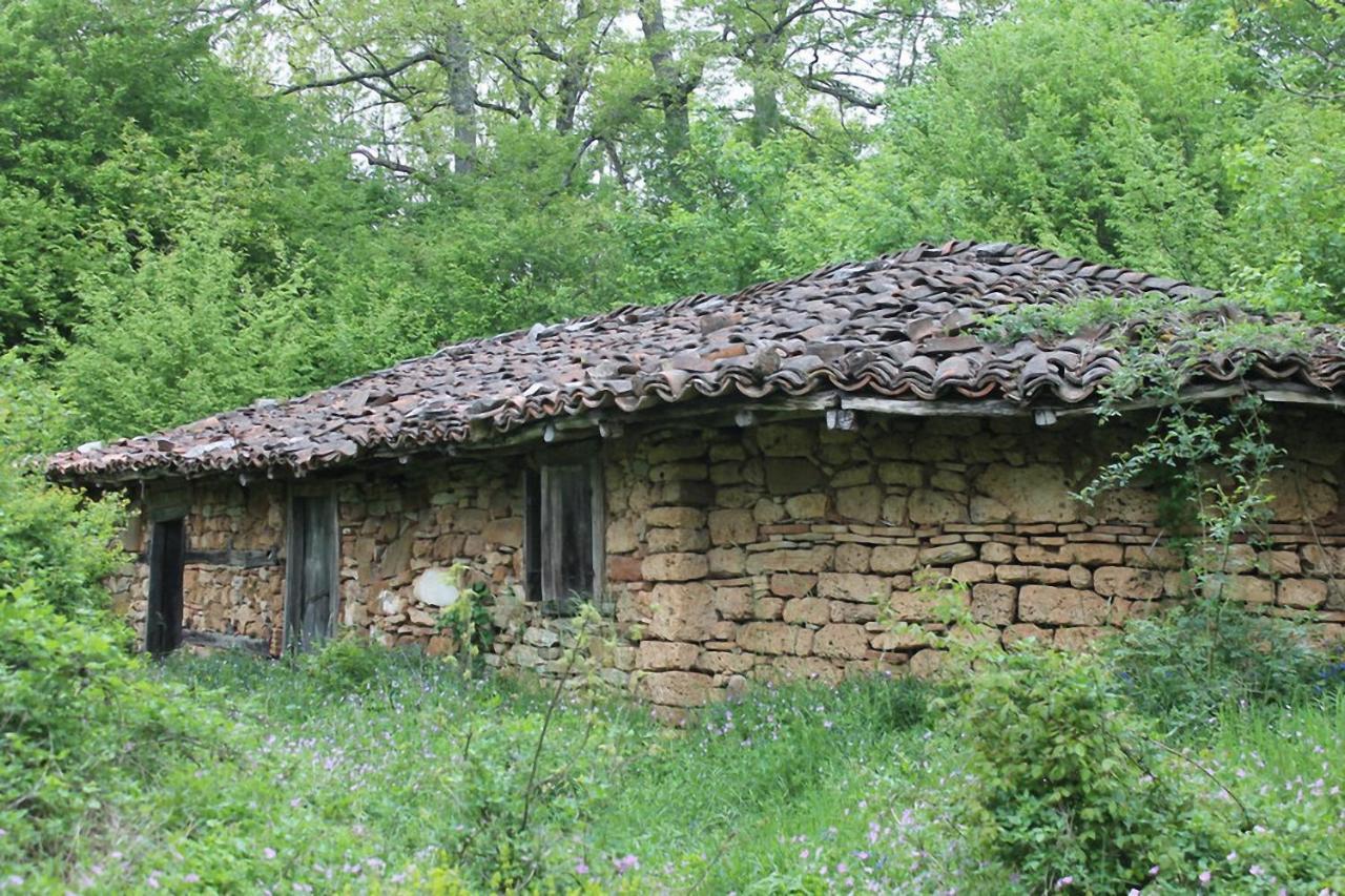 Hunting Residence Asteya Gramatikovo Εξωτερικό φωτογραφία