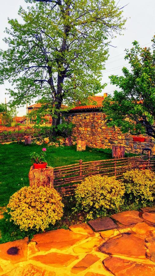 Hunting Residence Asteya Gramatikovo Εξωτερικό φωτογραφία